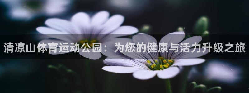 MK体育官方正版app集团：清凉山体育运动公园：为您