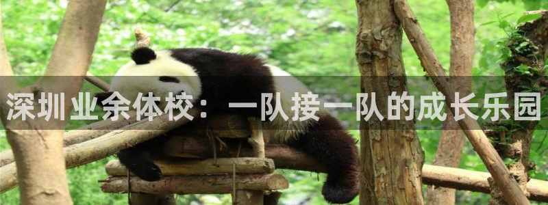 MK体育官方正版app集团官网网址：深圳业余体校：一