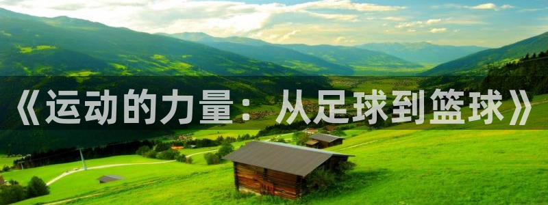 MK体育官网下载平台假的吗是真的吗：《运动的力量：从