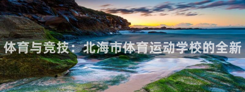 MK体育官方正版app集团E.ON：体育与竞技：北海