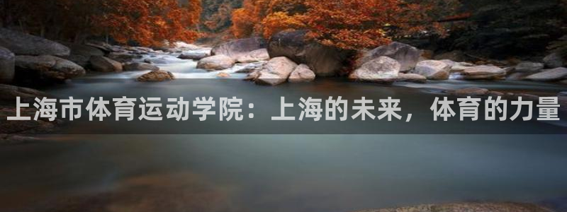 MK体育官方正版app新能源：上海市体育运动学院：上
