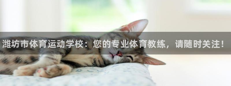 MK体育官网下载平台注册：潍坊市体育运动学校：您的专