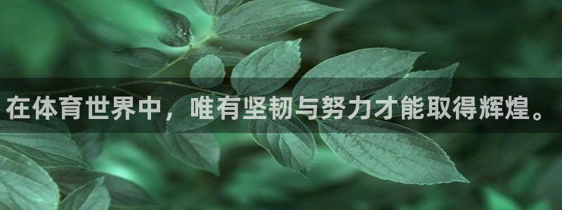 MK体育官方正版app官网：在体育世界中，唯有坚韧与