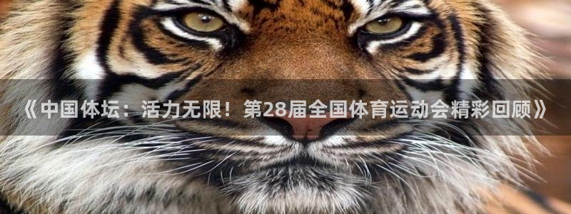MK体育官网下载平台注册要钱吗：《中国体坛：活力无限