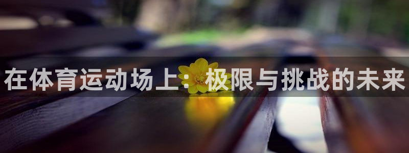 MK体育官网下载招商电话号码是多少号：在体育运动场上