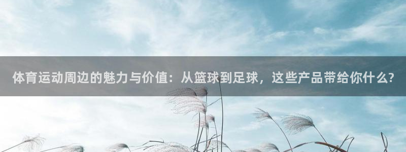 MK体育官方正版app官方