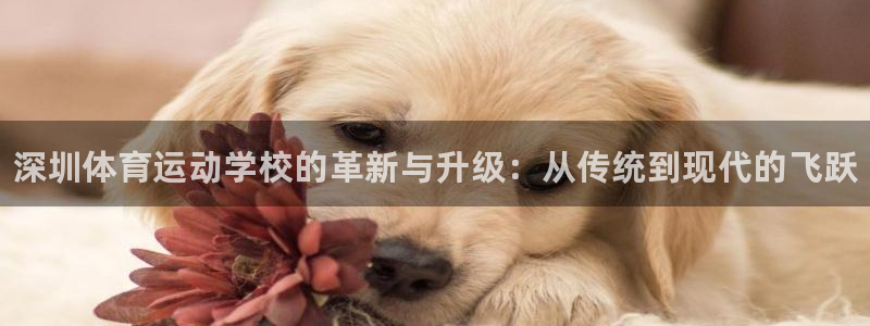 MK体育官方正版app娱乐