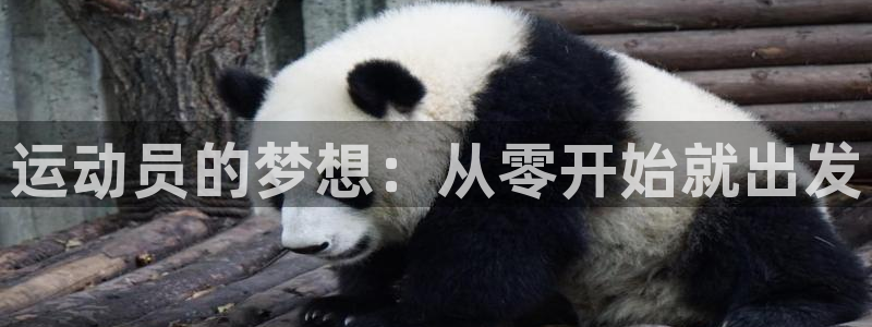 MK体育官方正版app官方
