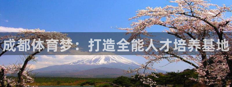 MK体育官方正版app新能源：成都体育梦：打造全能人