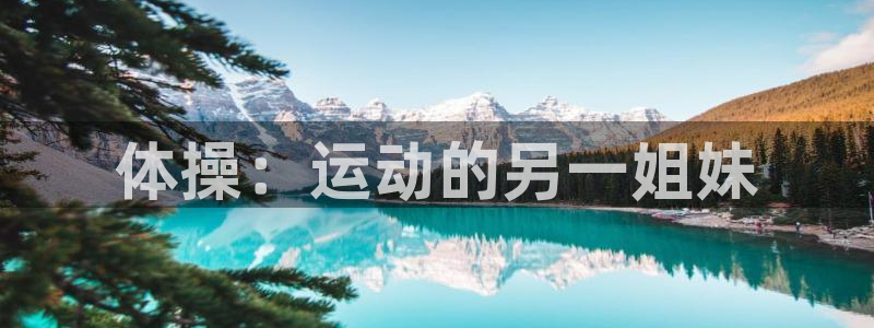 MK体育官方正版app科技：体操：运动的另一姐妹
