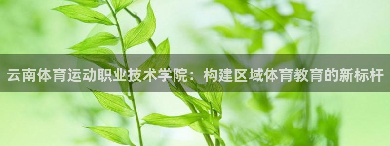 MK体育官网下载平台是正规平台吗安全吗