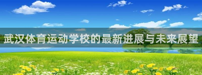 MK体育官方正版app开户