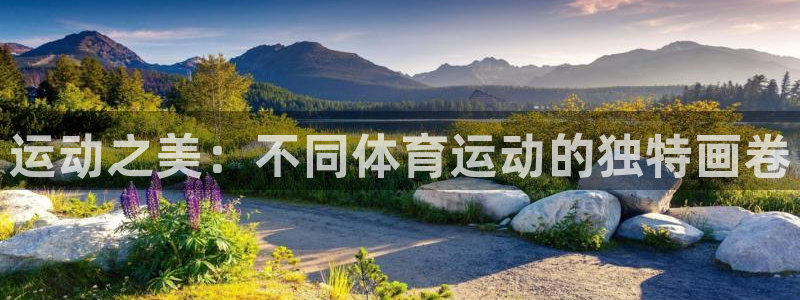 MK体育官网下载招商电话：运动之美：不同体育运动的独特画卷