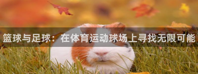 MK体育官网下载平台注册流程图：篮球与足球：在体育运动球场上