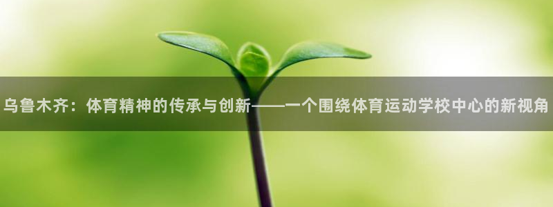 MK体育官方正版app集团：乌鲁木齐：体育精神的传承与创新—